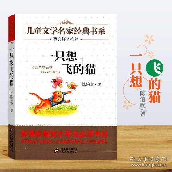 错别字大追捕